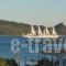 Anatoli Villas_holidays_in_Villa_Aegean Islands_Samos_Samos Chora