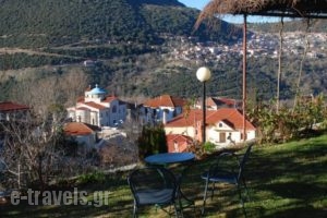 2 Alonia_lowest prices_in_Hotel_Central Greece_Aetoloakarnania_Agrinio