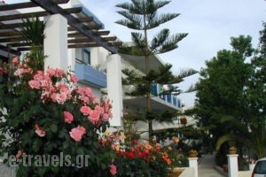 Apollon Hotel Apartments_holidays_in_Apartment_Crete_Rethymnon_Rethymnon City