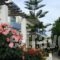 Apollon Hotel Apartments_holidays_in_Apartment_Crete_Rethymnon_Rethymnon City