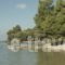 Alterra Vita_best deals_Hotel_Macedonia_Halkidiki_Neos Marmaras