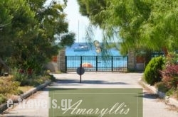 Amaryllis Summer Maisonettes_s __1