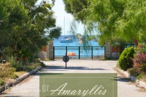 Amaryllis Summer Maisonettes_accommodation_in_Hotel_Macedonia_Halkidiki_Kassandreia