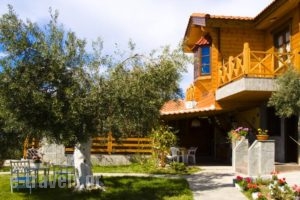 Vigla Ias_holidays_in_Hotel_Macedonia_Halkidiki_Neos Marmaras