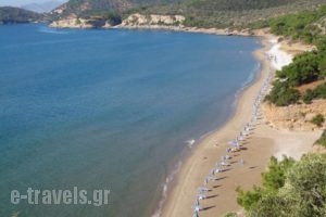 Golden Sand_holidays_in_Hotel_Aegean Islands_Samos_Marathokambos