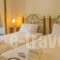 Villa Alkmini_lowest prices_in_Villa_Ionian Islands_Corfu_Afionas