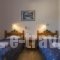 Agnadi Studios_best deals_Hotel_Dodekanessos Islands_Astipalea_Analipsi