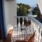 Mahi Studios_holidays_in_Hotel_Sporades Islands_Alonnisos_Patitiri