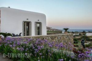 Villa Argy_accommodation_in_Villa_Cyclades Islands_Mykonos_Mykonos ora