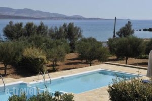 Villa Afroditi_best deals_Villa_Cyclades Islands_Antiparos_Antiparos Chora