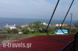Paradies_s __1