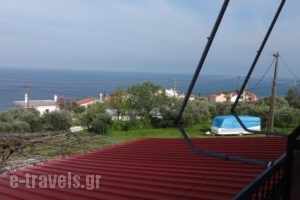 Paradies_accommodation_in_Hotel_Thessaly_Larisa_Agia
