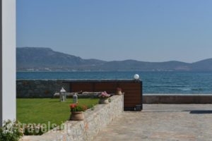 Villa Aggemari_best prices_in_Villa_Aegean Islands_Lesvos_Lesvos Rest Areas