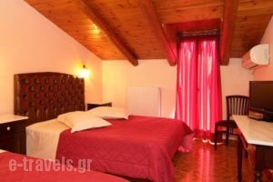 Hotel Varonos_holidays_in_Hotel_Central Greece_Fokida_Delfi