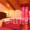 Hotel Varonos_holidays_in_Hotel_Central Greece_Fokida_Delfi