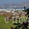 Antiparos View_best prices_in_Hotel_Cyclades Islands_Antiparos_Antiparos Chora