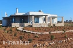 Nakos Homes in Antiparos Rest Areas, Antiparos, Cyclades Islands