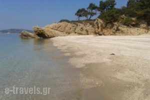 Sotiris Studios_holidays_in_Hotel_Aegean Islands_Thasos_Thasos Chora