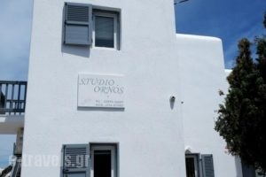 Studio Ornos_holidays_in_Hotel_Cyclades Islands_Mykonos_Mykonos ora