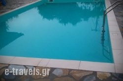 Guesthouse Kalypso_s __1