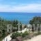 Mediterraneo Apartments_holidays_in_Apartment_Dodekanessos Islands_Rhodes_Archagelos
