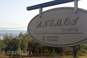 Anemos Studios_best deals_Hotel_Central Greece_Evia_Edipsos