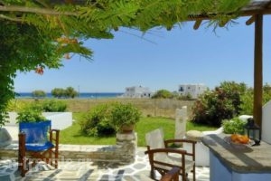 Albatross Holiday Apartments_lowest prices_in_Apartment_Cyclades Islands_Syros_Vari
