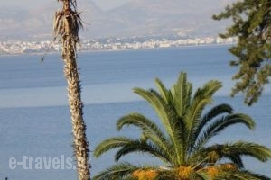 Anthemio_best deals_Hotel_Peloponesse_Korinthia_Agioi Theodori