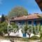 Sipsas Villas_holidays_in_Villa_Thessaly_Magnesia_Pilio Area