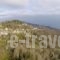 Ria Rooms_best deals_Room_Thessaly_Magnesia_Agios Lavrendios