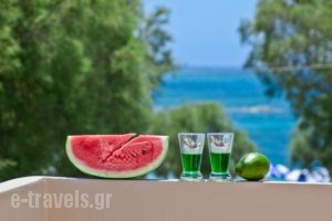 Kavourakia_accommodation_in_Hotel_Cyclades Islands_Naxos_Naxos Chora