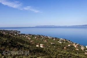 Verga Villas Resort_holidays_in_Villa_Thessaly_Magnesia_Koropi