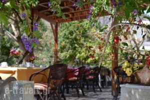 Glaros Hotel_holidays_in_Hotel_Crete_Chania_Palaeochora