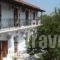 Spyros Apartments_accommodation_in_Apartment_Ionian Islands_Zakinthos_Laganas