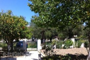 Spyros Apartments_holidays_in_Apartment_Ionian Islands_Zakinthos_Laganas