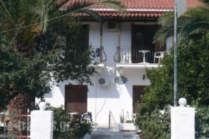 Spyros Apartments_best deals_Apartment_Ionian Islands_Zakinthos_Laganas
