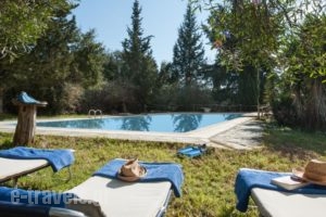 Wildrose Corfu Apartments_lowest prices_in_Apartment_Ionian Islands_Corfu_Corfu Rest Areas