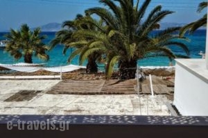 Elli Studios_lowest prices_in_Hotel_Cyclades Islands_Naxos_Agia Anna