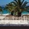 Elli Studios_lowest prices_in_Hotel_Cyclades Islands_Naxos_Agia Anna