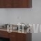 Maki House_best prices_in_Hotel_Cyclades Islands_Anafi_Anafi Chora
