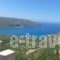Olga House_travel_packages_in_Peloponesse_Lakonia_Itilo