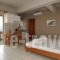 Stavroula Hotel Apartments_best prices_in_Apartment_Crete_Chania_Kissamos