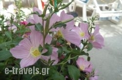 Pansion Giorgos & Rania_s __1