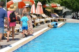 Magdas Kamares_best prices_in_Hotel_PiraeusIslands - Trizonia_Poros_Poros Chora