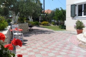 Villa Tapia_travel_packages_in_Thessaly_Magnesia_Pilio Area