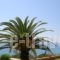 Pelagos Apartments_accommodation_in_Apartment_Ionian Islands_Corfu_Corfu Rest Areas