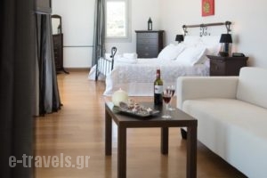 Villa Golden View_best deals_Villa_Cyclades Islands_Antiparos_Antiparos Chora