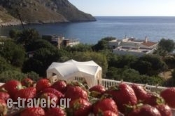 Alkyonis Apartments in Kalimnos Chora, Kalimnos, Dodekanessos Islands