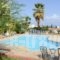 Milos Apartments_holidays_in_Apartment_Crete_Heraklion_Malia