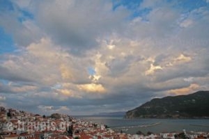 Denise Hotel_holidays_in_Hotel_Sporades Islands_Skopelos_Skopelos Chora